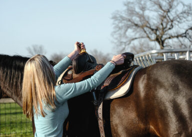 western saddle advantages