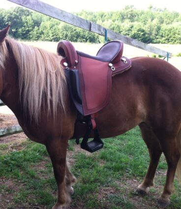 Western Endurance Saddle on Horse