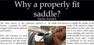 Properly Fit Saddle