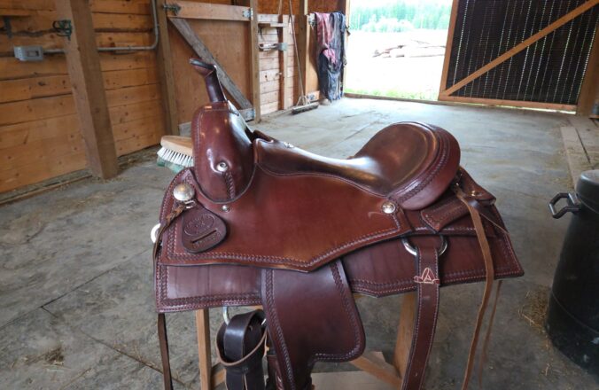 Western cowhorse 01