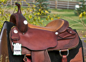 Cutting saddle 001