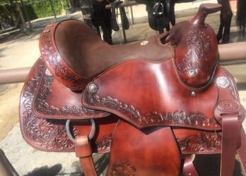 Pleasure saddle 001