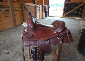 Western cowhorse 01