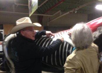 Western Custom Saddle Services