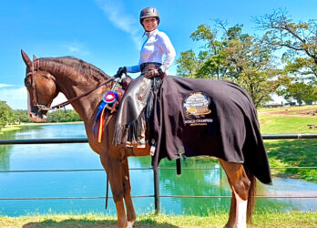 Western dressage 03