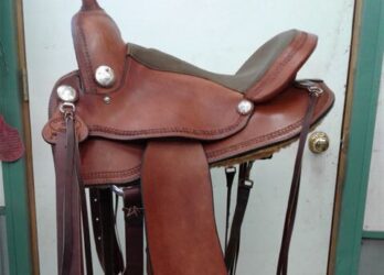 Western endurance 03
