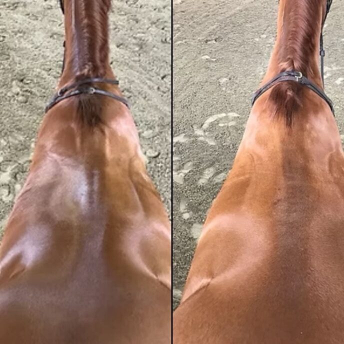 Before After 2
